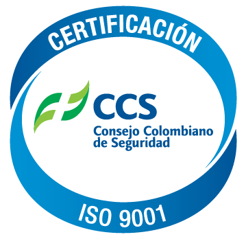 Certificado 5
